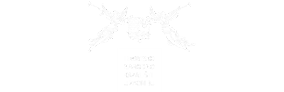 hnk-white-6.png